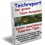 teichreport